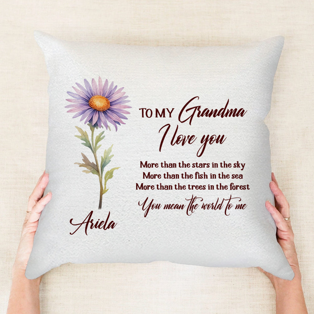 To My Grandma You Mean The World To Me - Personalized Throw Pillow PL20