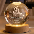 Personalized Pet Memorial Crystal Globe Lamp with Photo